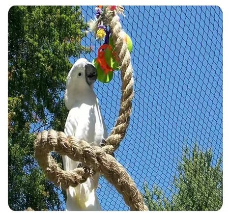 Flexibles Kabel-Drahtseil,X-Typ-Masche,Diebstahlschutz,Absturzsicherung aus Edelstahl,dehnbares Balustraden-Füllungsnetz,for Brückentreppen,Absturzsicherungsnetz,Garten (Size : L2xW4m/L6.56xW13.12ft