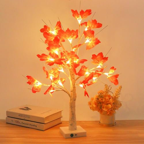 Howeifull Albero Luminoso a LED per interni, 60cm/ 2ft Albero Bonsai Lampada da Tavolo con 24 Bianco Caldo, a Batteria/USB, per Decorazione Autunno, Natalizie, Pasquali, Soggiorno (Senza timer)