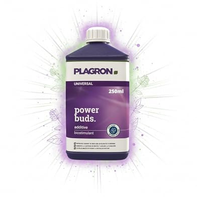Easy Act Plagron Power Buds 250ml, Bio-Stimulanz für Erde, Hydro und Kokos, Grow Dünger, Blüten Booster für mehr Knospen und schnelleres Blühen