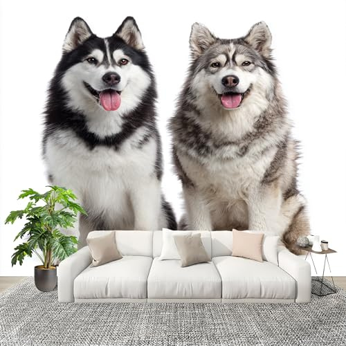 Dormitorio Papel Pintado Lindo Animal Husky Pared Panorámico 300x210 cm Animal Perro Fotomurales No Tejido, Póster Gigante de Pared Personalizado 3D Para Salón Fotomurales