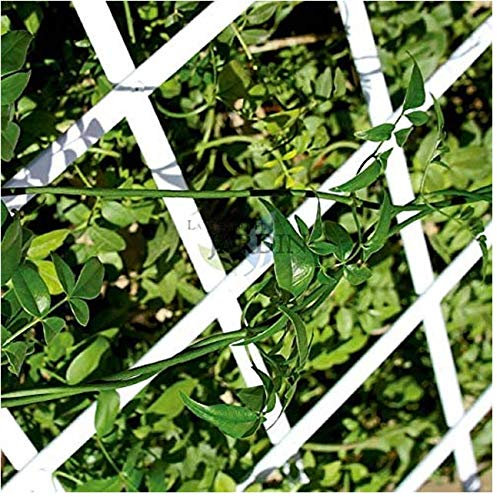 Suinga Treillage Extensible en PVC 1x2 m, Treillis PVC Blanc pour Jardin 100 x 200 cm. Soie Artificielle Extensible, Blanc