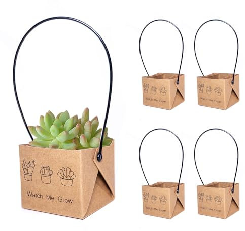 ALLWSLucky 50 Pcs Mini Cajas De Suculentas, 5,1 cm Maceta de Papel para Plantas suculentas, Bolsas para Envolver Suculenta, Envoltorios de suculenta con Asas de plástico