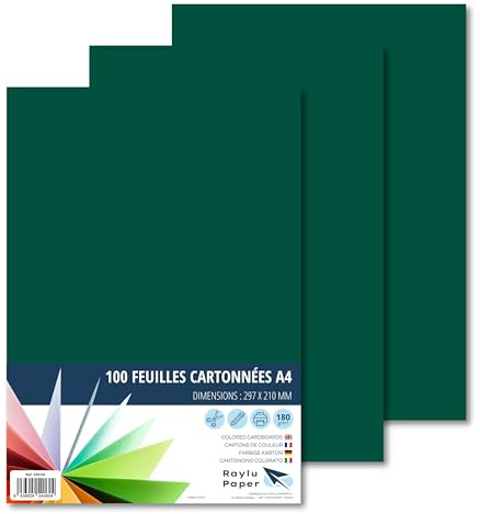 Raylu Paper – Papier Cartonné A4 Coloré, 100 Feuilles Cartonnées, Papier Epais de Couleur, pour l’Ecole, le Bureau, le Scrapbooking, les Activités Manuelles, 180g/m², 210 x 297 mm (Vert Jungle)