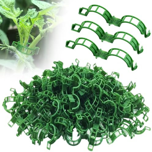 Gesicherter Pflanzen Kunststoff Clip, 2024 Neuest Pflanzenclips, pflanzenklammern klein für kletterpflanzen, Prämie Tomatenklammern Pflanzenstütze für Tomate Gurken Pflanzen Befestigung (100, Grün)