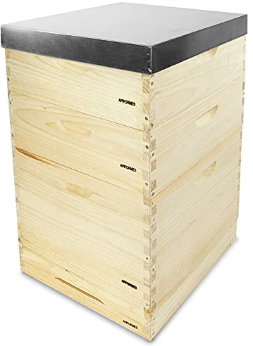 APIFORMES Dadant US (DAD12) Beute – 12 Waben Massivholz Weymouthskiefer Imkereibedarf
