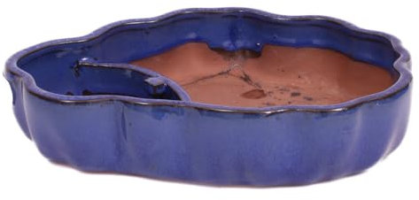 generisch Bonsai - Schale, Wasserschale, oval 24.5 x 19 x 5.5 cm blau 51365