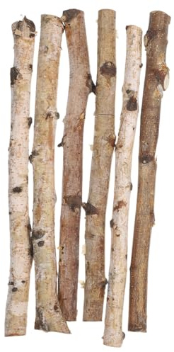 YOSADIER 6 Stück Teiliges Natürliche Birkenholzstäbe Dünne Trockene Holzstäbe für DIY Bastelmaterial Blumenarrangements und Dekorative Handwerksprojekte Vielseitig und Langlebig