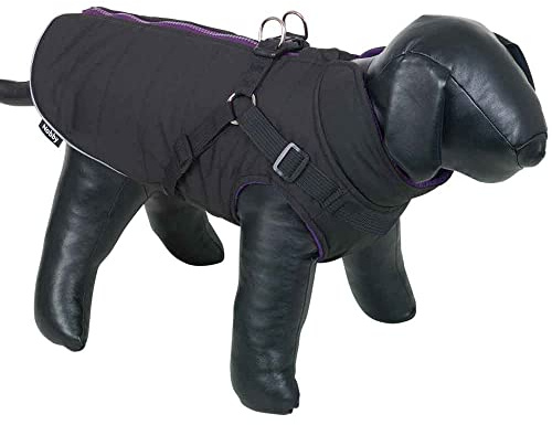 Nobby Hundemantel SOBAK 2 in 1, schwarz-lila, 20 cm, 1 Stück