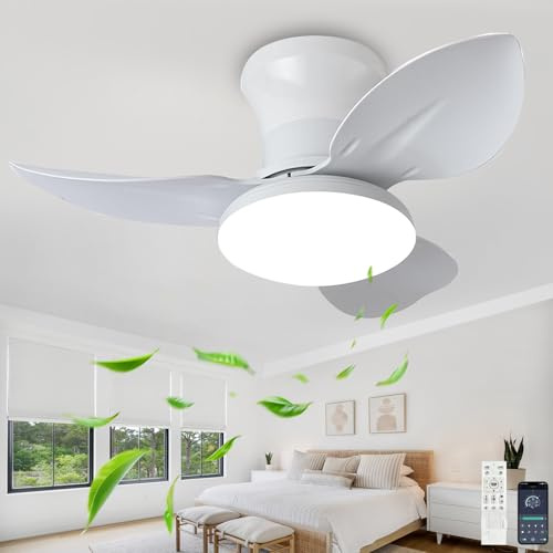 Fachae Klein Deckenlampe Mit Ventilator Und Fernbedienung Reversible Leise 6 Stufen Deckenventilator Mit Lampe Led Dimmbare Zeitschaltuhr Wohnzimmer-Ventilator Pendelleuchte Moderne