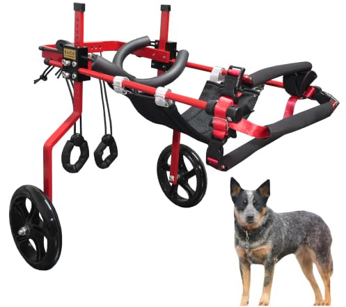 KAJILE Einstellbare Hunde-Rollstuhl,Hinterbein-Rehabilitation,Rot,L-2 | Einfache montage,reha-training für hunde mit schwachen hinterbeinen,hinterbeinstütze,mobilitätshilfe,aluminiumlegierung