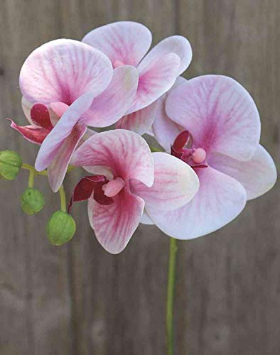 artplants.de Phalaenopsis Orchideenzweig künstlich Ophelia, rosa-pink, 40cm - Kunstzweig Orchidee - Seidenorchidee