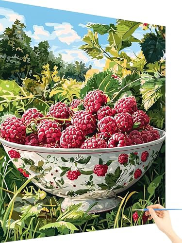 Plant Paint by Numbers for Adults Fruit Painting by Numbers for Children Beginners, Cheerful Painting Art Kits for Adults, DIY Acrylic Paints Drawing Paintwork Canvas Mothers Day Gifts 30x40cm D-50