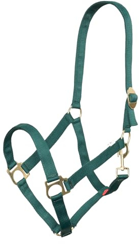 Imperial Riding Halfter Economic, Robustes 25 mm Nylonhalfter verstellbare Schiebeschnalle, Karabiner-Kehlriemen, langlebig & pflegeleicht, für Training, Stall & Alltag, Waldgrün, Shetty
