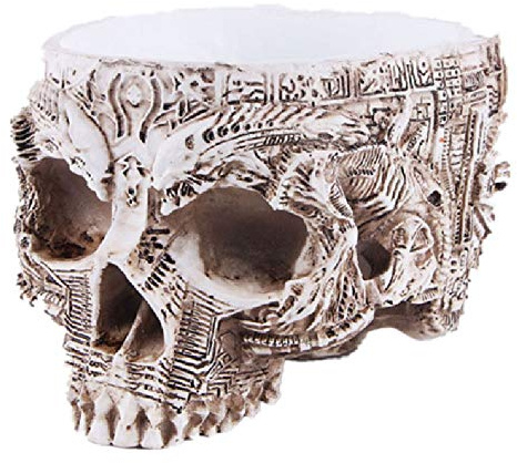 VOANZO Posacenere in Resina con Teschio Umano per Decorare la casa Decorazione di Halloween Teschi Decorativi scheletri Accessori da Bar Decorazione per Fumatori