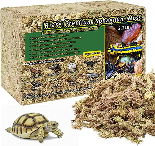 Riare 1.2kg Premium Sphagnum Moss for Reptiles, Terrarium Bedding | Natural long-fibre moss for reptile habitats, terrariums, vivariums. Ideal for geckos, frogs, snakes, turtles, salamanders.