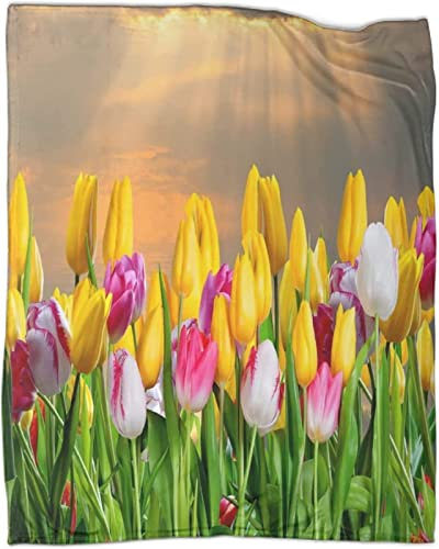 Kuscheldecke 80 x 150 cm 3D Blumen Flanell Fleecedecke, Weich Warm Flauschig Decke Tulpe Wohndecke Decken für Sofadecke Couchdecke kuscheldecken für Kinder Erwachsene, Blanket