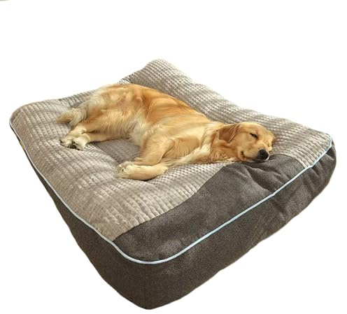 DUOLEH Hundebett für Grosse Hunde Orthopädisches Hundecouch Hundekorb | 120x95x21cm, Anti-Angst Hundebett, Rutschfest, Abnehmbarem Hundekörbchen, Kissen Haustiere, Hundekissen