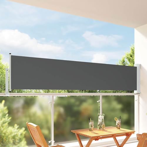 Nqyjm Toldo lateral 100% poliéster, hierro y acero, protección solar, opaco, estor lateral, para balcón, terraza, jardín, antracita, 100 x 300 cm
