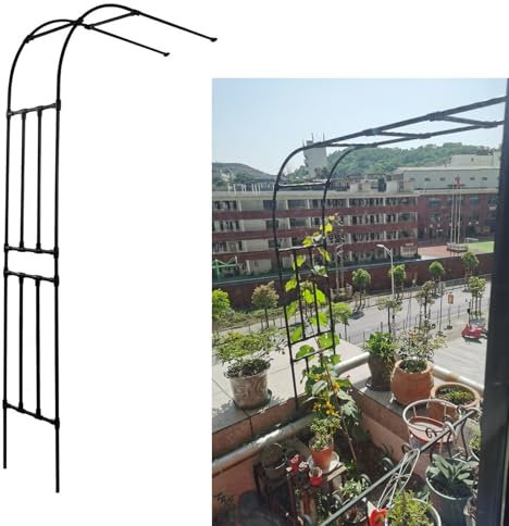 Demi-arche de jardin d'extérieur en métal + revêtement en polyéthylène pour plantes grimpantes, cadre de vigne pour support de rosier, treillage d'arche de jardin, tonnelle pour pelouse, jardin, cour,