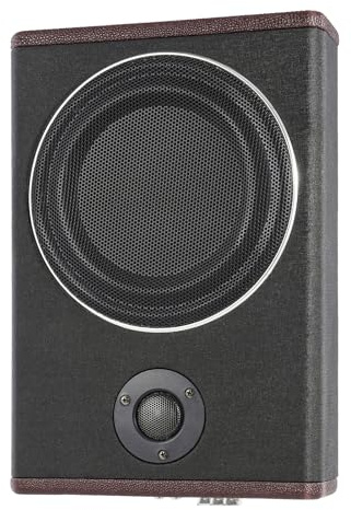 JUDEMII 200 W Car Audio DC 12V Underseat Slim Amplifier Subwoofer Audio, Flat Car Underseat Audio Sub Bass Box, Car powered subwoofer Car Stereo for Car and Motorhome