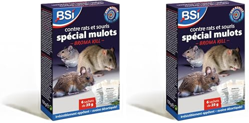BSI - Anti Rats - Souris Et Mulots - 150g - Grains - Efficacité Radicale - Avoine Attrayante - 6 x 25g - Prêt A l'emploi - Haute Qualité - Autour comme pour La Maison, Violet (Lot de 2)