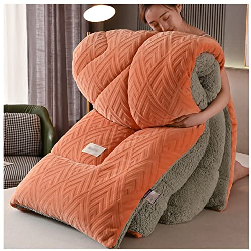 Cachemire ​RéVersible Couette, Courtepointes Moelleuses en Cachemire Hiver, épaisse en Hiver Couette 2 Personne Laine Couverture Double Face Couette d'hiver en Peluche (E 220x240cm/5kg)