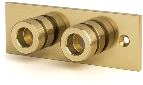 Xcel Home Plaque Arrière Thermostatique Dorée Brossée | Bidet Shattaf