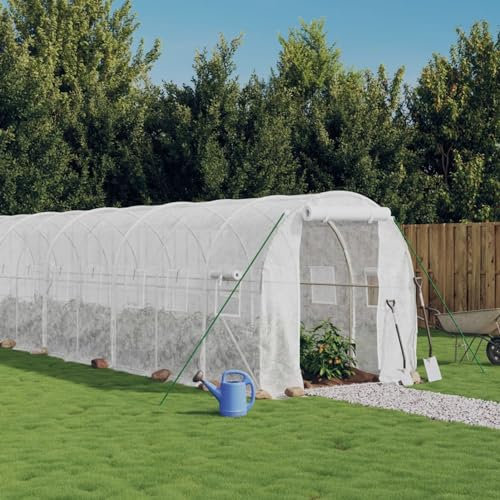 LAPOOH Serre avec Cadre en Acier Blanc 44 m² 22x2x2 m,Carport Abri Voiture,Serre Tunnel