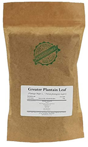 Herba Organica - Greater Plantain Leaf - Plantago Major L - Herbal Tea (100g)