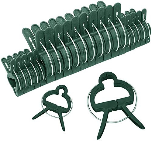 Duiyehui Pflanzenhalter, 60 Stück Rankhilfe für Kletterpflanzen – Rankhilfe Zimmerpflanzen Grün Pflanzenstützklammern für den Garten, Ranken, Blumen, Klemmen, Ringe (30 Große + 30 Kleine)
