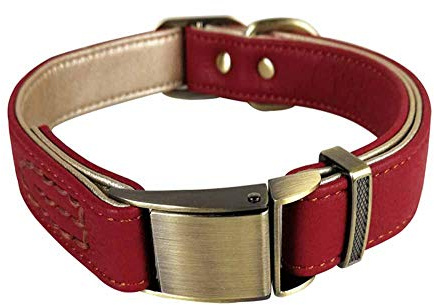 feiling Hundehalsband Leder Große Hunde Klickverschluss Einstellbare Lederhalsband für Kleine Mittelgroße Hunde Halskette Hundehalsung Hundeband (S: 24-34cm, Rot)