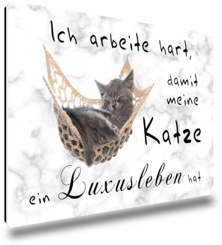 TRIOSK Kühlschrankmagnete Motivation Sprüche Magnet Katze lustig Luxusleben mit Spruch Ich arbeite hart Katzenmotiv Geschenk Büro für Katzenliebhaber Kühlschrank stark eckig groß 85x55 mm