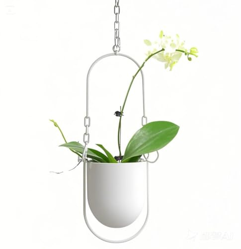 Beihaoer Dekorativer Hängender Metall-Blumentopf im Boho-Stil, Blumenampel für Zimmerpflanzen, Sukkulenten, Luftpflanzen, Kakteen (weiß)
