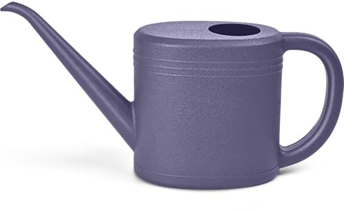 1L Small Watering Can, Durable Plastic Watering Can for Indoor & Outdoor Plants, Easy Pour Garden Jug with Sprinkler Rose, Ideal for Flowers, Houseplants & Gardening (Purple)