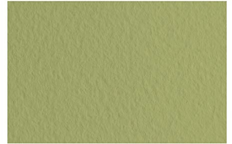 FABRIANO Tiziano Pastellpapier Muschio, DIN A4, 50 Blatt, 160 g/m², hoch hadernhaltig, säurefrei und alterungsbeständig, griffige, raue Oberfläche