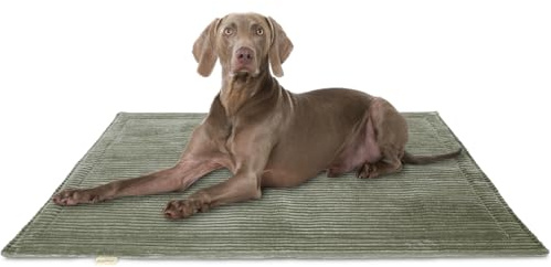 Knuffelwuff Hundedecke Timor 140x100cm Khaki - Bequeme und Pflegeleichte Liegedecke aus weichem Cord - waschbar - für große, mittelgroße und kleine Hunde