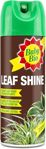 Leaf Shine - Houseplant Care - Aerosol Spray - Removes Dust from Plant Leaves - for a Natural Long Lasting & Healthy Shine - Ready to Use - Prevents Yellowing - 200ml