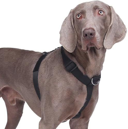 No Pull Dog Harness, Heavy Duty Tactical Dog Harness, Adjustable Soft Padded Pet Vest Harnesses for Medium and Large Dogs Training Walking, Lightweight & Escape-Proof (Black, L)