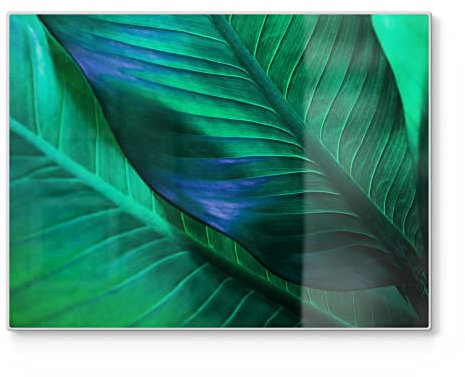 DEQORI Planche à découper en verre | Grande taille 40 x 30 cm | Motif « Structure de feuilles tropicales » | Planche à découper design pour la cuisine | Planche à petit-déjeuner antibactérienne &