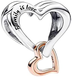 Annmors Family Geburtstag Nummer Abschluss 925 Sterlingsilber Anhänger Bead Charms für Armband und Kette, für Pandora