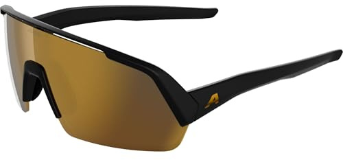 ALPINA TURBO HR, solglasögon för vuxna - black matt (gold) - S