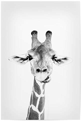 artboxONE Poster 60x40 cm Tiere Giraffes Portrait - Bild Black and White Black and White Giraffe