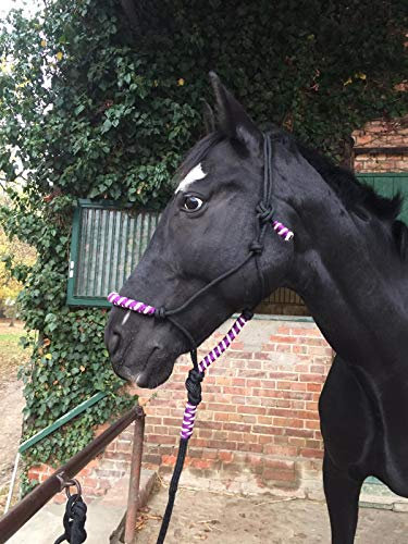 Knotenhalfter mit Strick für Pferde – gepolstert an Nase und Genick, ideal für Bodenarbeit, Pferdeausbildung, Training (schwarz-lila)