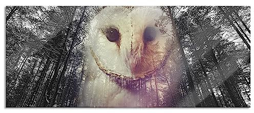 Pixxprint Glasbild Panorama, Wandbild aus Echtglas, Portrait einer Eule, 120x50 cm, inkl. Aufhängung und Abstandshalter