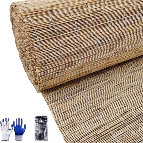 Bambus Sichtschutzzaun, Schilfrohrzaunrollen 30cm 80cm 150cm 180cm Hoch, NatüRlicher Gartenzaunteiler Schilfrohrmatte, Für Terrasse, Außenbereich, Balkon, Garten, Hinterhof(Natural White line)