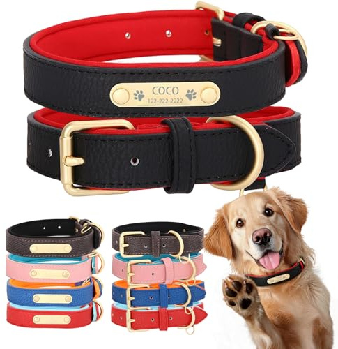 Personalisierbares Hundehalsband Leder mit Gravur Name & Telefonnummer, gepolstert Neopren, verstellbar, robust, mit Metall D-Ring für kleine bis große Hunde (XS: 25,5-31,5cm Hals, 1,5cm Breite)