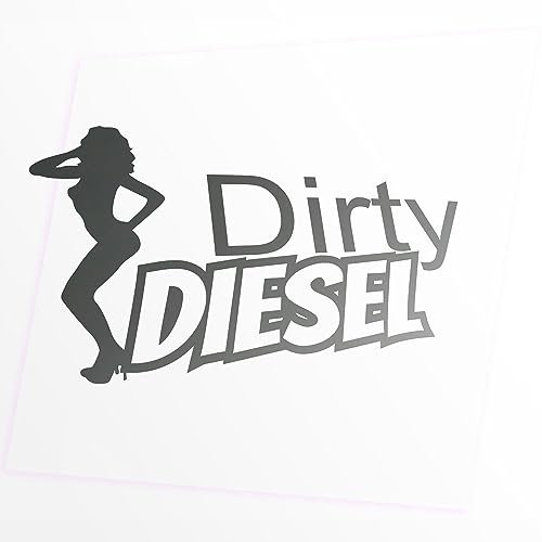 JINTORA - Autoaufkleber Tuning - Diesel Sale - 190x90mm - Auto Aufkleber - Bus - Fenster - Heckscheibe - Camper - wetterfest - Outdoor Sticker - Auto Deko - LKW - Tuning Selbstklebend - Silber