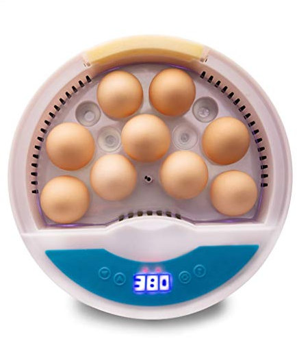 Topchances Vollautomatische Inkubator, 9 Hühnereier & 4 Wachteleier Brutapparat mit LED Temperaturanzeige Für Huhn, Ente, Gans, Taube, Wachtel