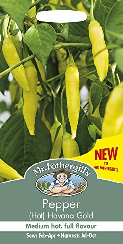 Mr Fothergill's 27333 Vegetable Seeds, Pepper (Hot) Havana Gold, Yellow, 0.3x7.5x14.5 cm