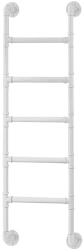 Multi Purpose Wall Mounted Metal Ladder for Household Climbing Basement Window Well Egress with Mounting Fittings 3.3ft Straight Loft Ladder 9.8ft Extendable (170cm/67in)